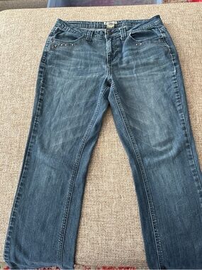 Earl Jeans Blue Straight-Leg Women's Jeans